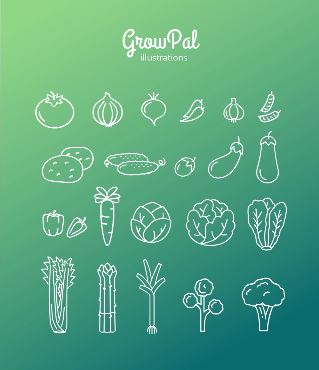A set of plant illustrations drawn in a single flat vector style.