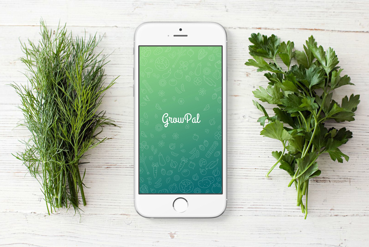 An iPhone between bunches of dill and parsley, showing the GrowPal splash screen: a hand-drawn vegetable pattern over a green gradient.